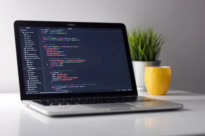 Illustration : Développer une application desktop métier en Algérie